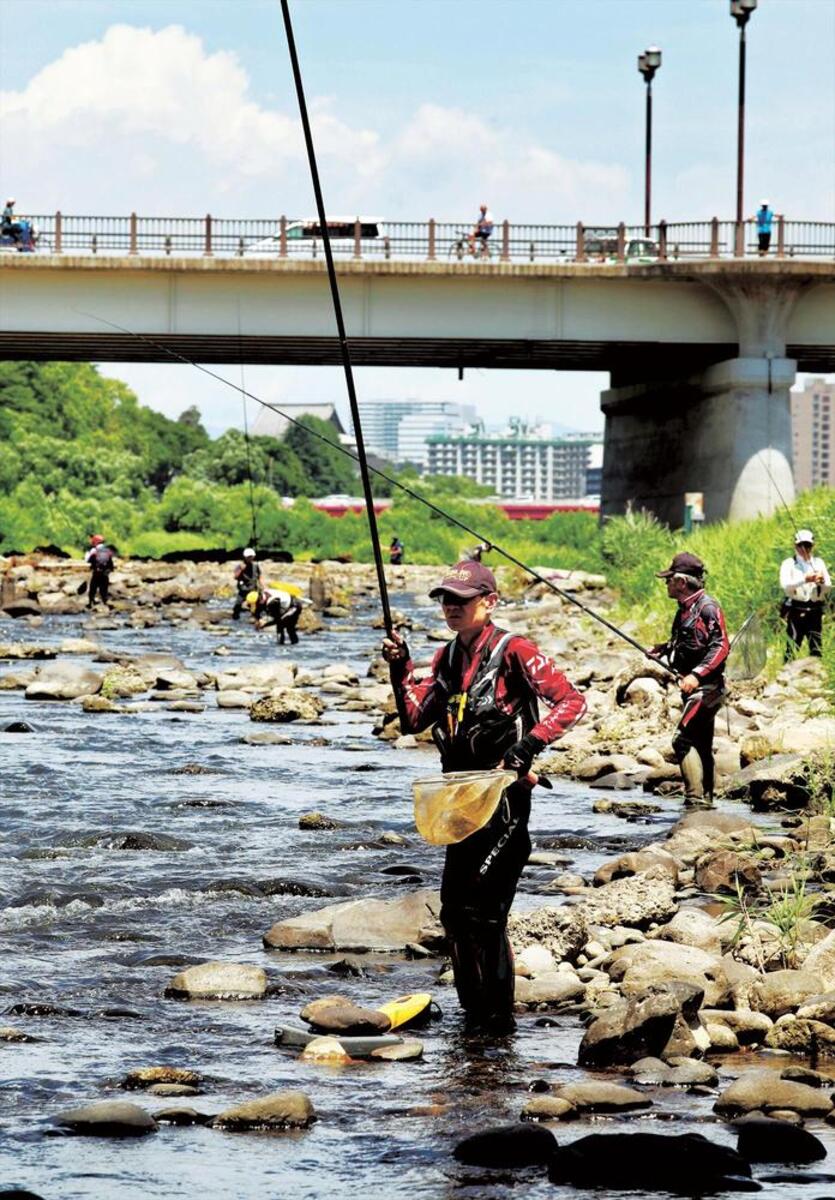 さお引く感触今年も アユ釣り解禁 仙台 広瀬川 河北新報オンラインニュース Online News