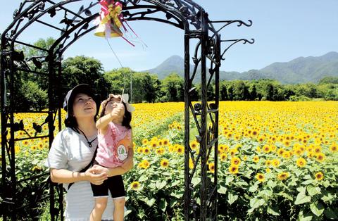 笑顔もヒマワリも満開 ４０万本が出迎え 煙山ひまわりパーク 岩手 矢巾町 河北新報オンラインニュース Online News