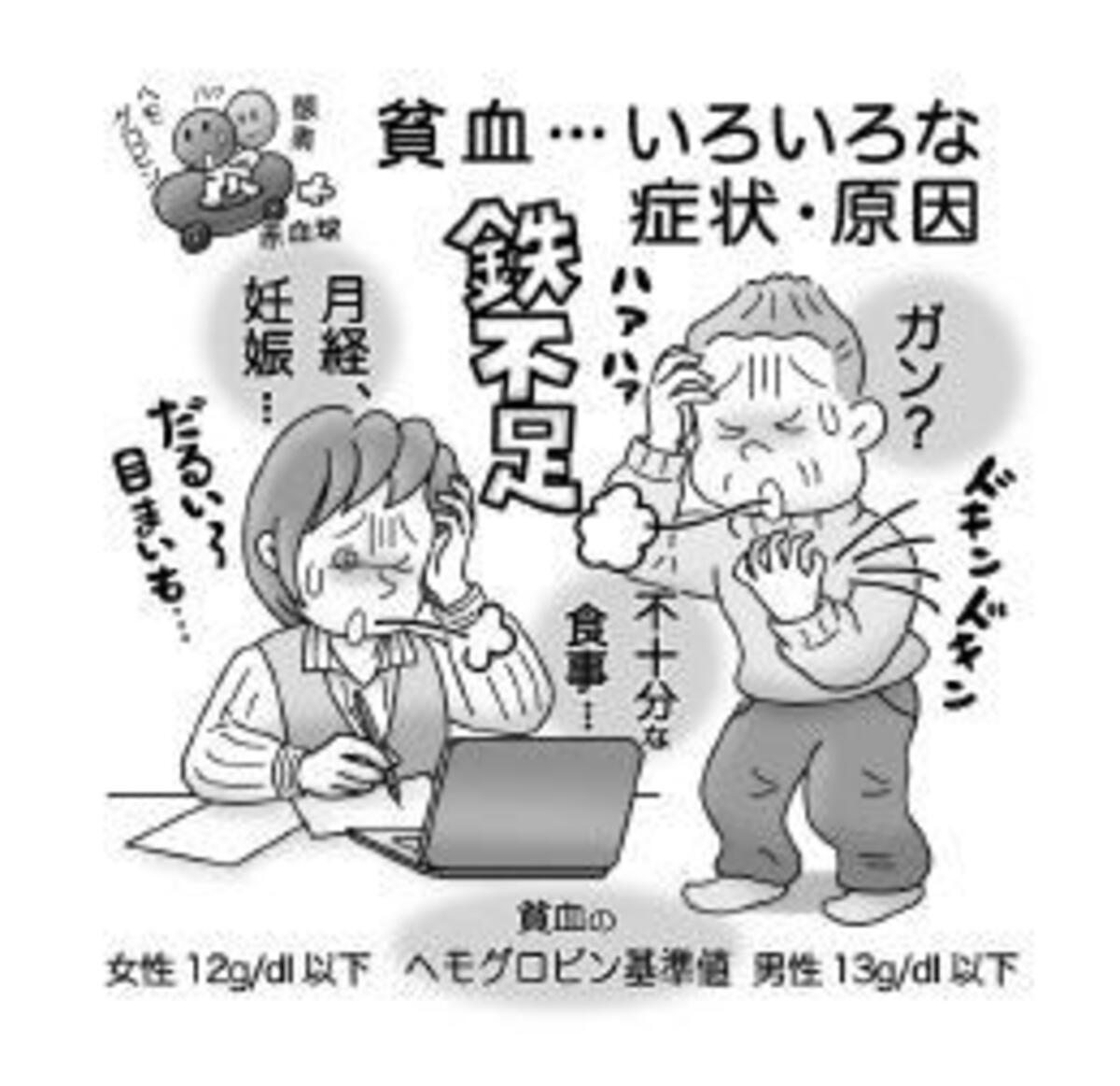 気になる症状 すっきり診断 ４７ 身近にある貧血 バランス良く鉄摂取を 河北新報オンラインニュース Online News