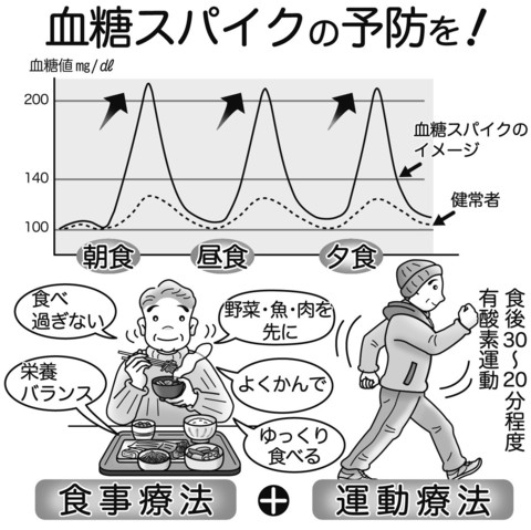 気になる症状 すっきり診断 ７２ 血糖スパイク 動脈硬化へのリスク大 河北新報オンラインニュース Online News