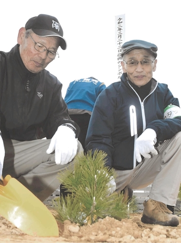 南相馬 伐採された かしまの一本松 二世木 守る会が植樹 河北新報オンラインニュース Online News