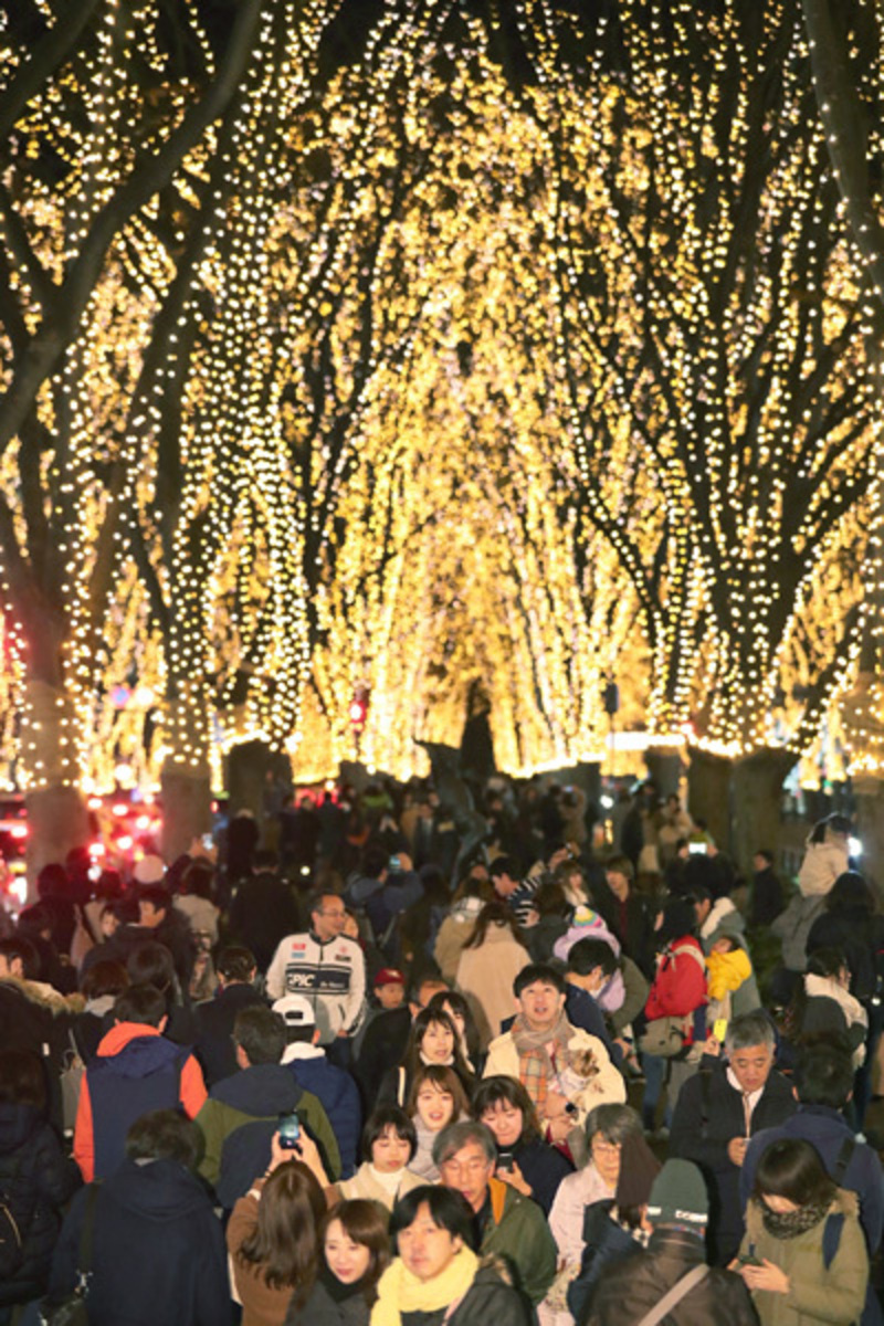 仙台 光のページェント 恒例イベントは中止 １２月１８日から初の越年開催 河北新報オンラインニュース Online News