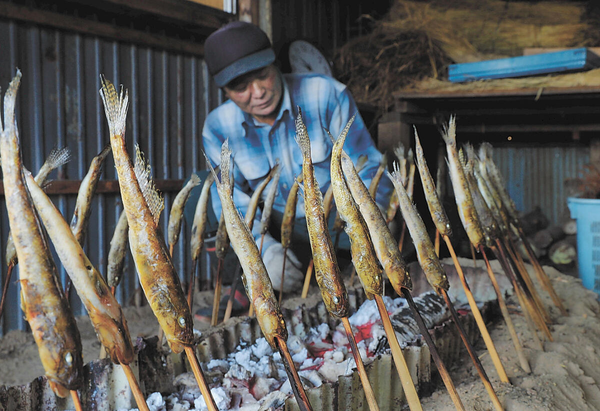 今季不漁も伝統つなぐ 石巻 焼きハゼ作り 河北新報オンラインニュース Online News