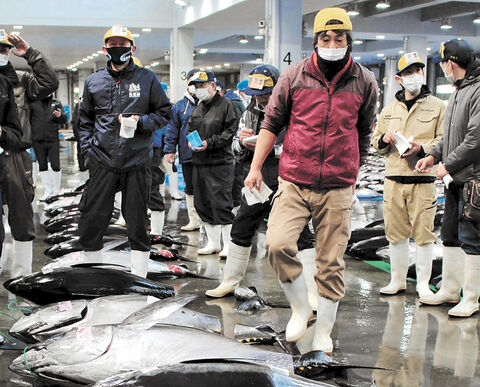 新年初の水揚げ マグロなど４０トン 宮城 塩釜市魚市場で初競り 河北新報オンラインニュース Online News
