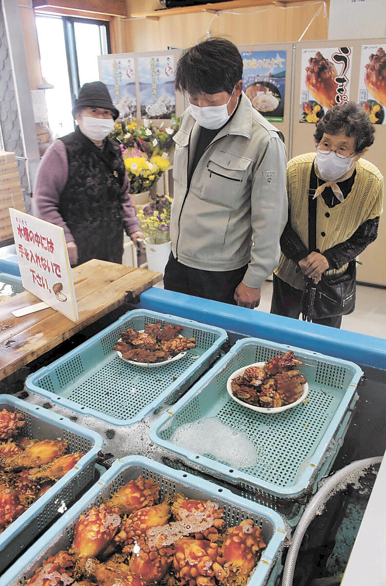 おがつ縁日 ホヤなど海産物人気 道の駅登録記念 ５日まで 河北新報オンラインニュース Online News