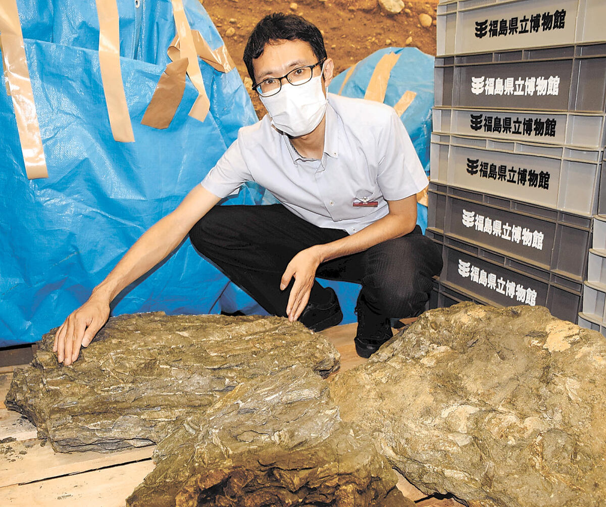 カキの群生化石、世界最大か いわきの地層から発見 １万個以上と推測