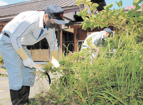 トヨタ岩手工場の社員、ボランティアで草刈り ライン停止期間中  河北 