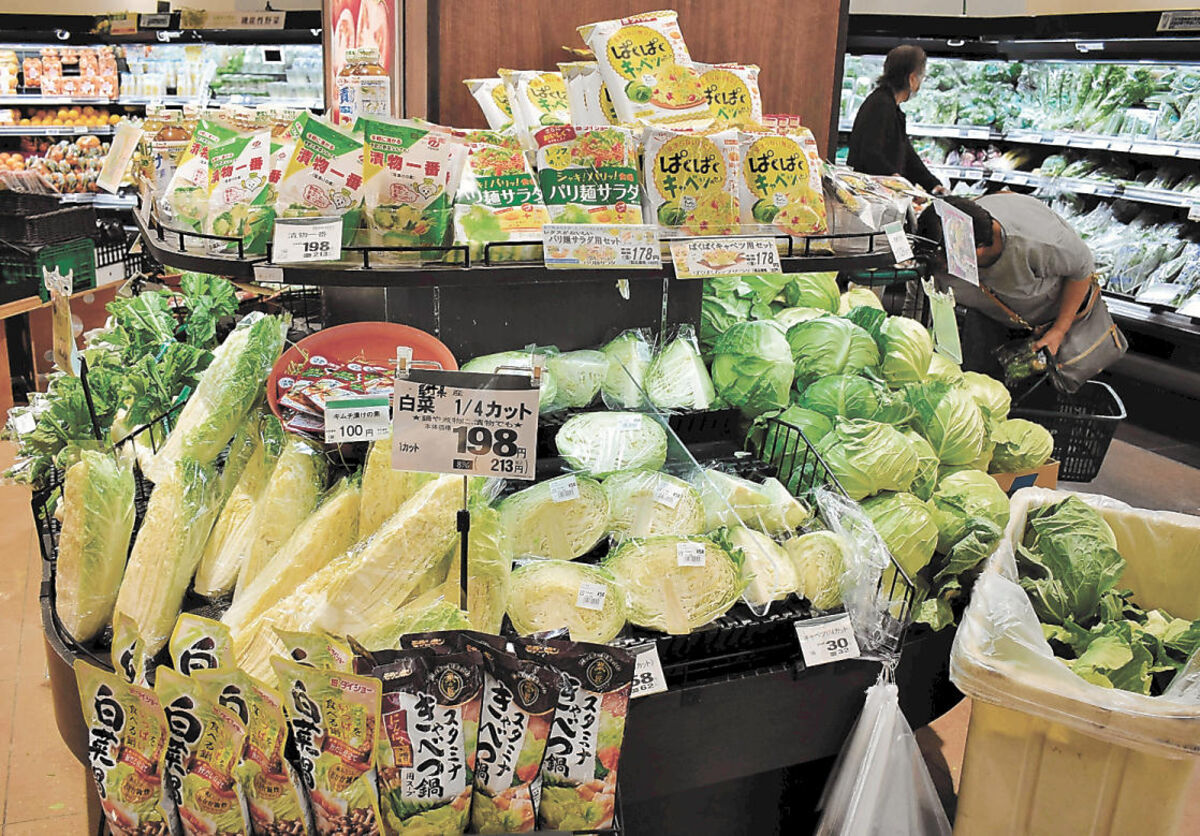 レタス 白菜 葉物野菜の高値に客も店も悲鳴 台風襲来で高騰も 河北新報オンラインニュース Online News