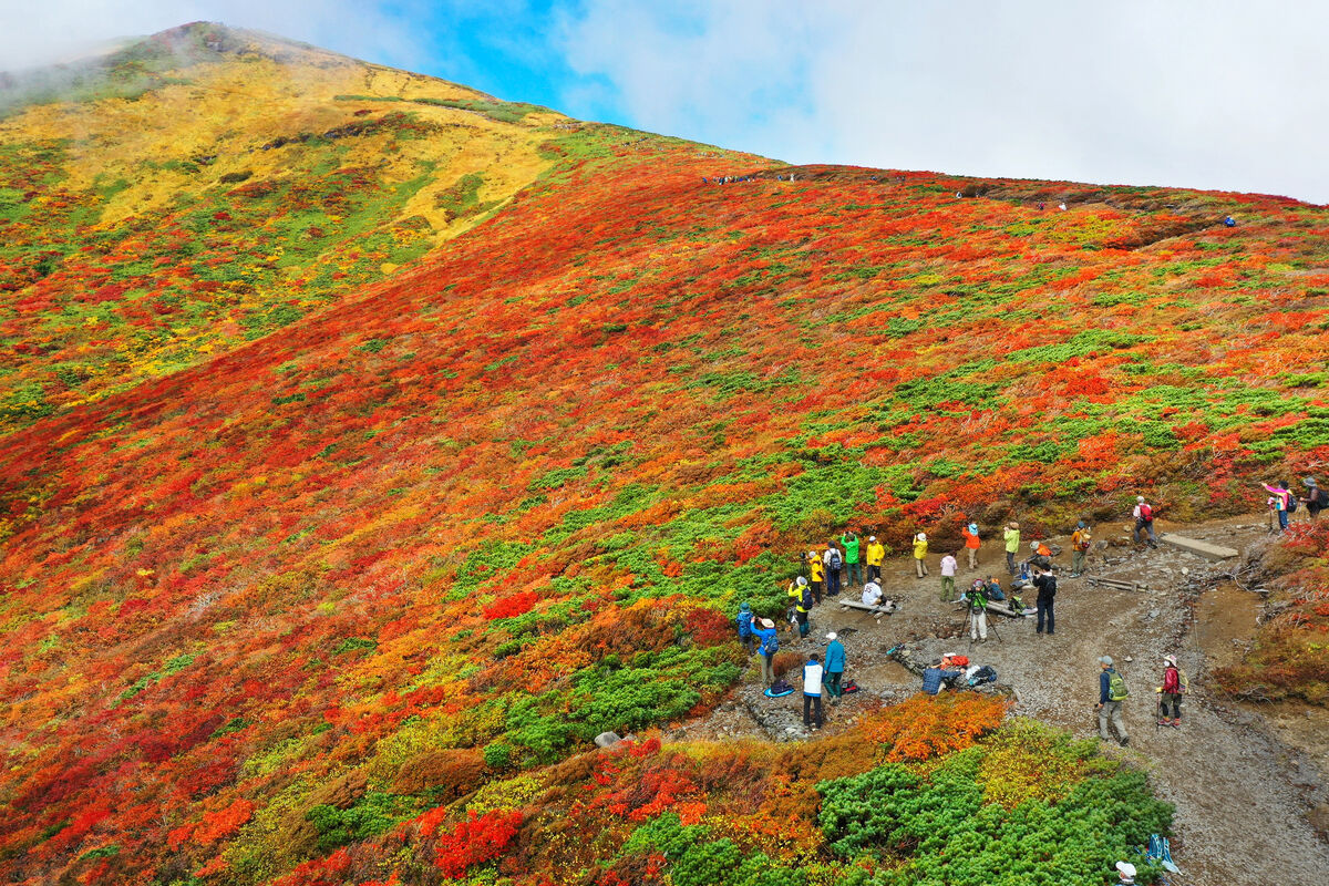 胸がすくような紅葉 栗駒山で見頃 河北新報オンラインニュース Online News