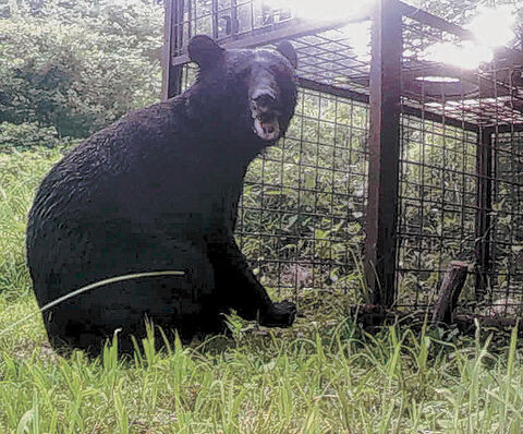 山間の農家 団結し抵抗 東北 拡大する野生動物被害 ３ 河北新報オンラインニュース Online News