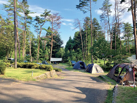 冬キャン 行こう 秋保森林スポーツ公園オートキャンプ場 河北新報オンラインニュース Online News