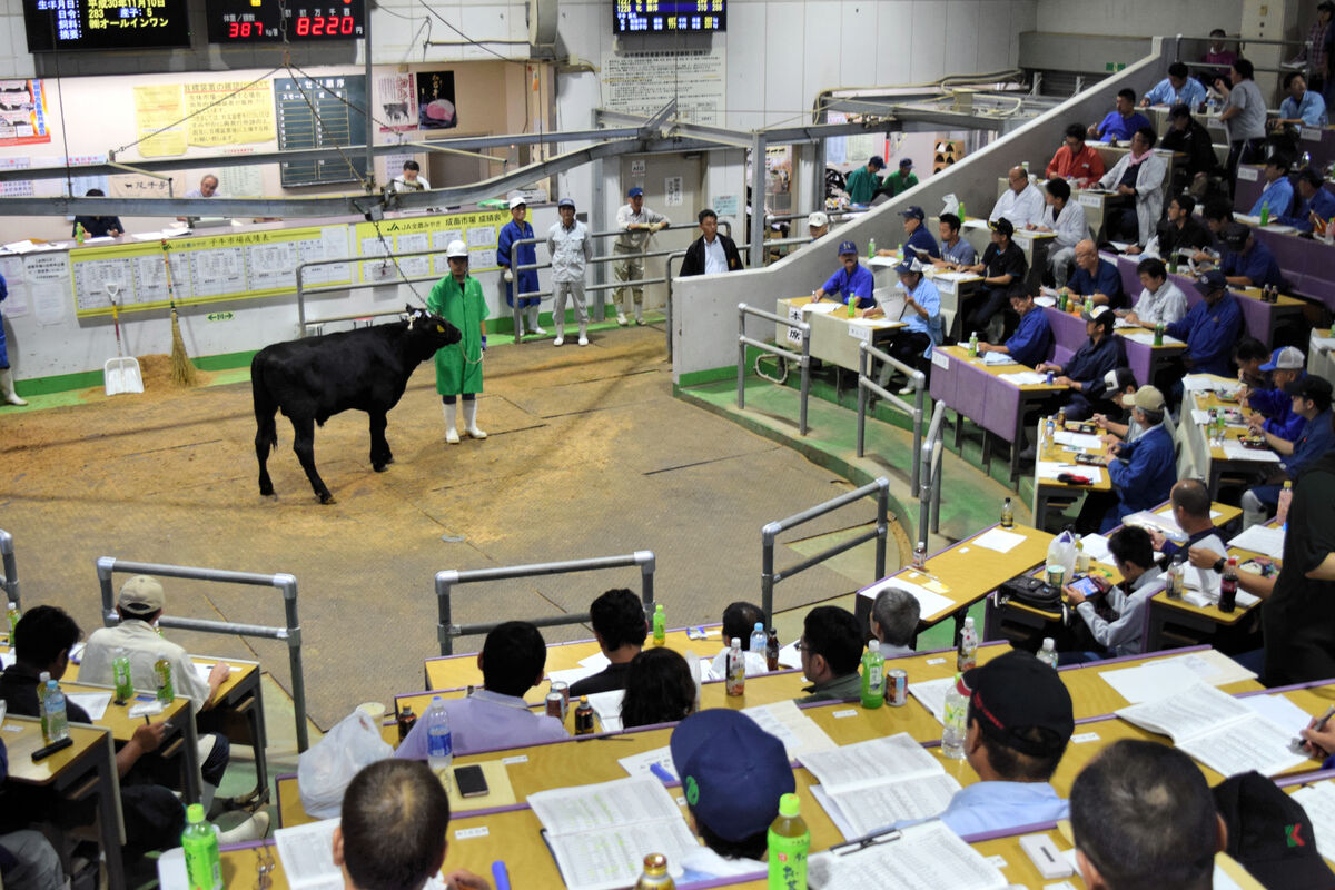 雌子牛 なっつ 最高額７１９万円で落札 みやぎ総合家畜市場 河北新報オンラインニュース Online News