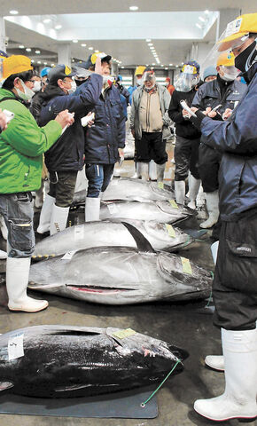 豊漁２１６３本 幸先良く 塩釜市魚市場で初競り 河北新報オンラインニュース Online News