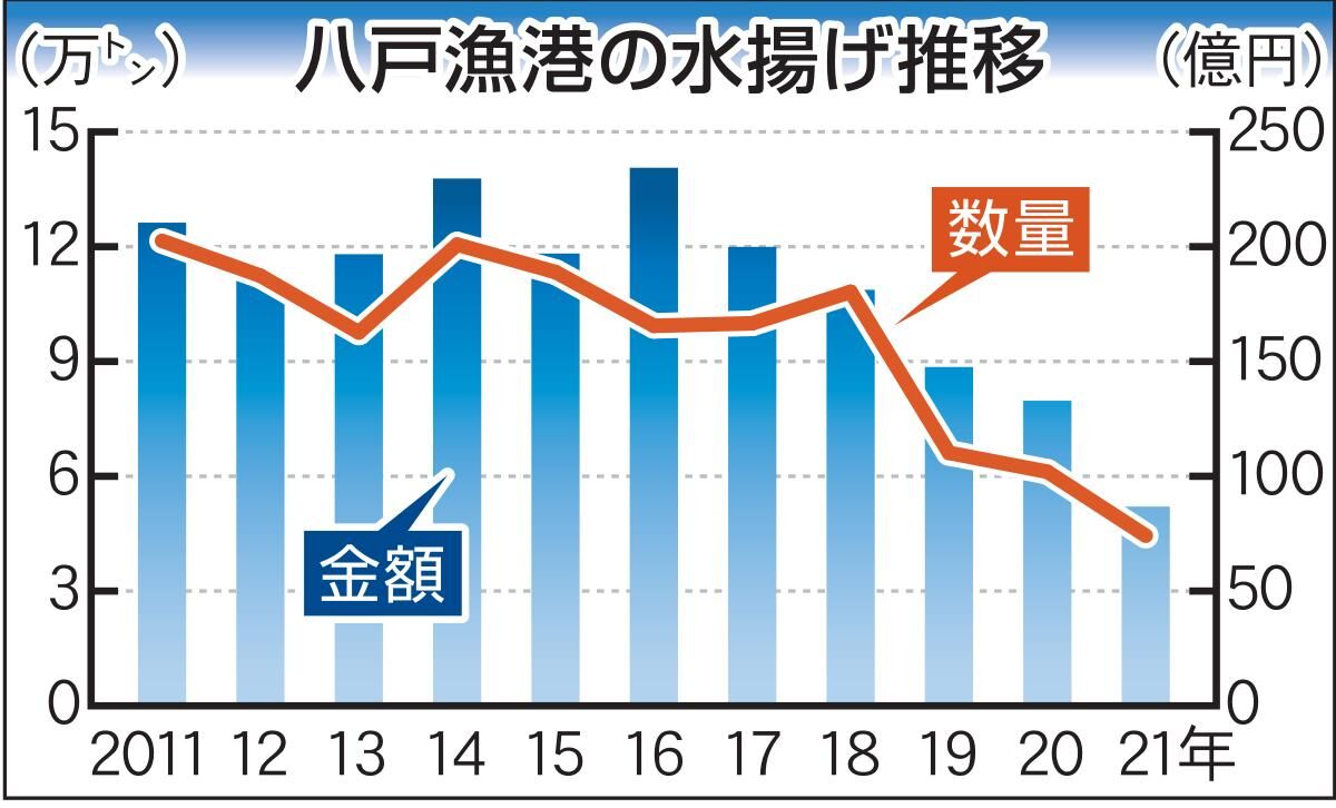 サバ、イカ獲れない 八戸港７２年ぶり不漁 | 河北新報オンライン