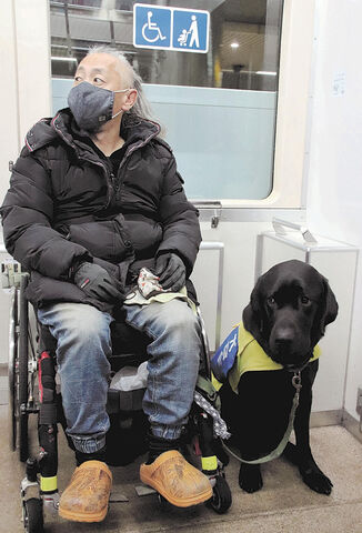 目指せ宮城唯一の介助犬 見習い オン 特訓中 車いすをけん引 物拾う 河北新報オンラインニュース Online News