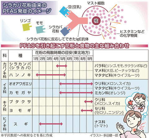 リンゴやメロンで喉イガイガ 花粉症の合併アレルギーかも 河北新報オンラインニュース Online News