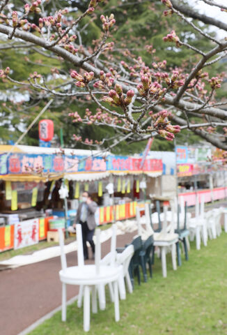 東北の花見スポット 揺れる判断 仙台 西公園 制限なく復活 河北新報オンラインニュース Online News