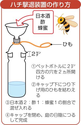 ハチ撃退装置 抜群の効果 仙台の主婦 自衛目的で製作 河北新報オンラインニュース Online News