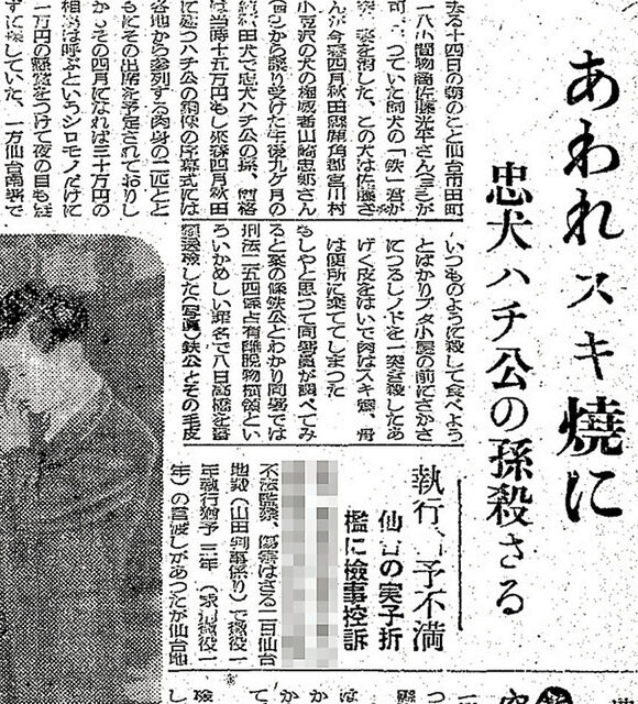 忠犬ハチ公の孫、仙台で「すき焼き」にされた？ ネットの話題、真相は… - 河北新報オンライン