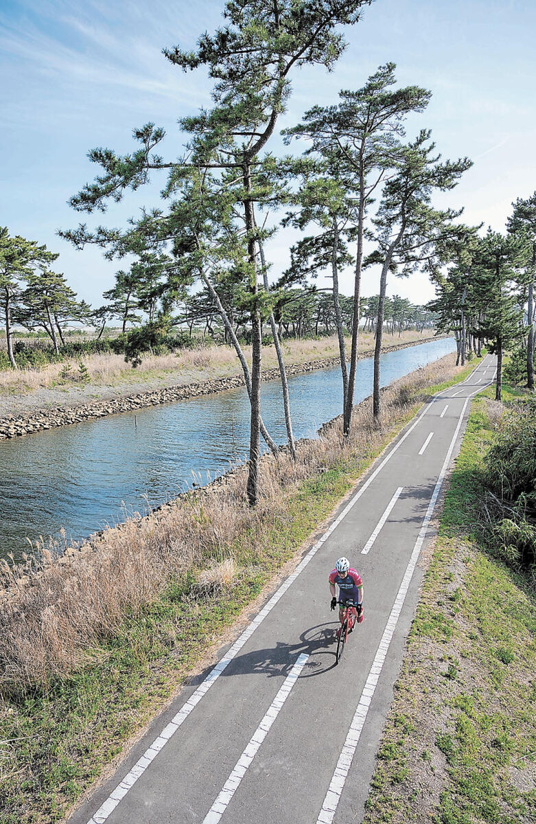 仙台 自転車 コース