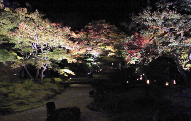 暗闇に紅葉浮かぶ 松島の瑞巌寺と円通院、２９日からライトアップ - 河北新報オンライン