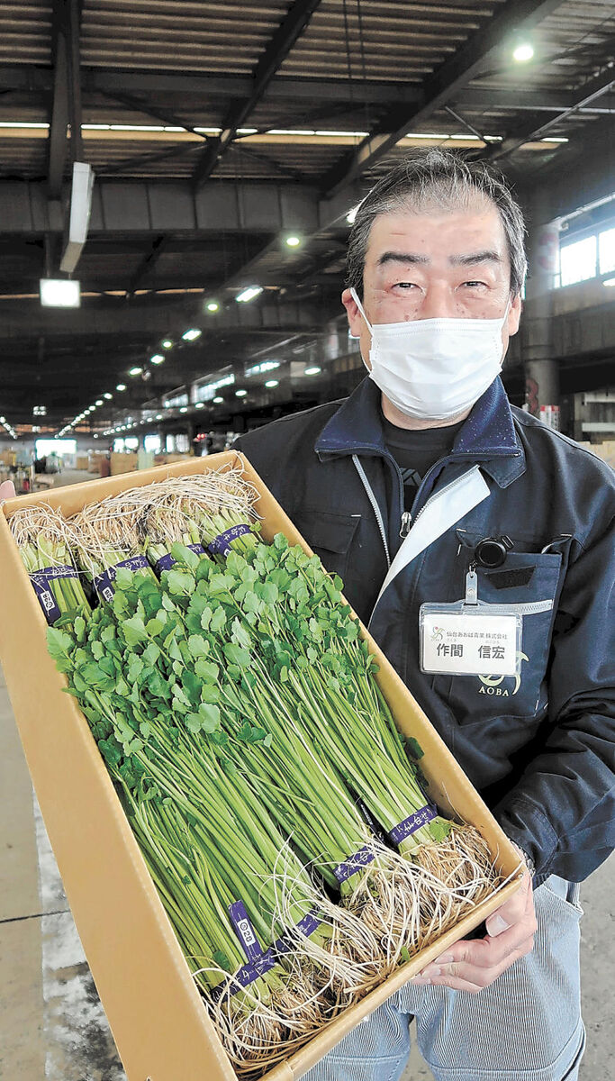 仙台・いちば歳時記 セリ／産地で違う風味比べて | 河北新報オンライン