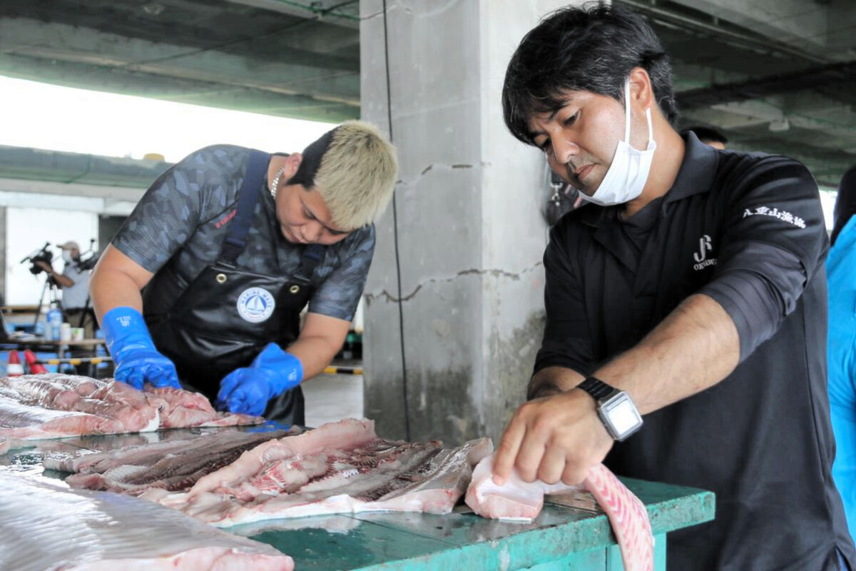 犬用のサメ肉ジャーキー開発 沖縄と気仙沼の業者がコラボ「命を無駄に