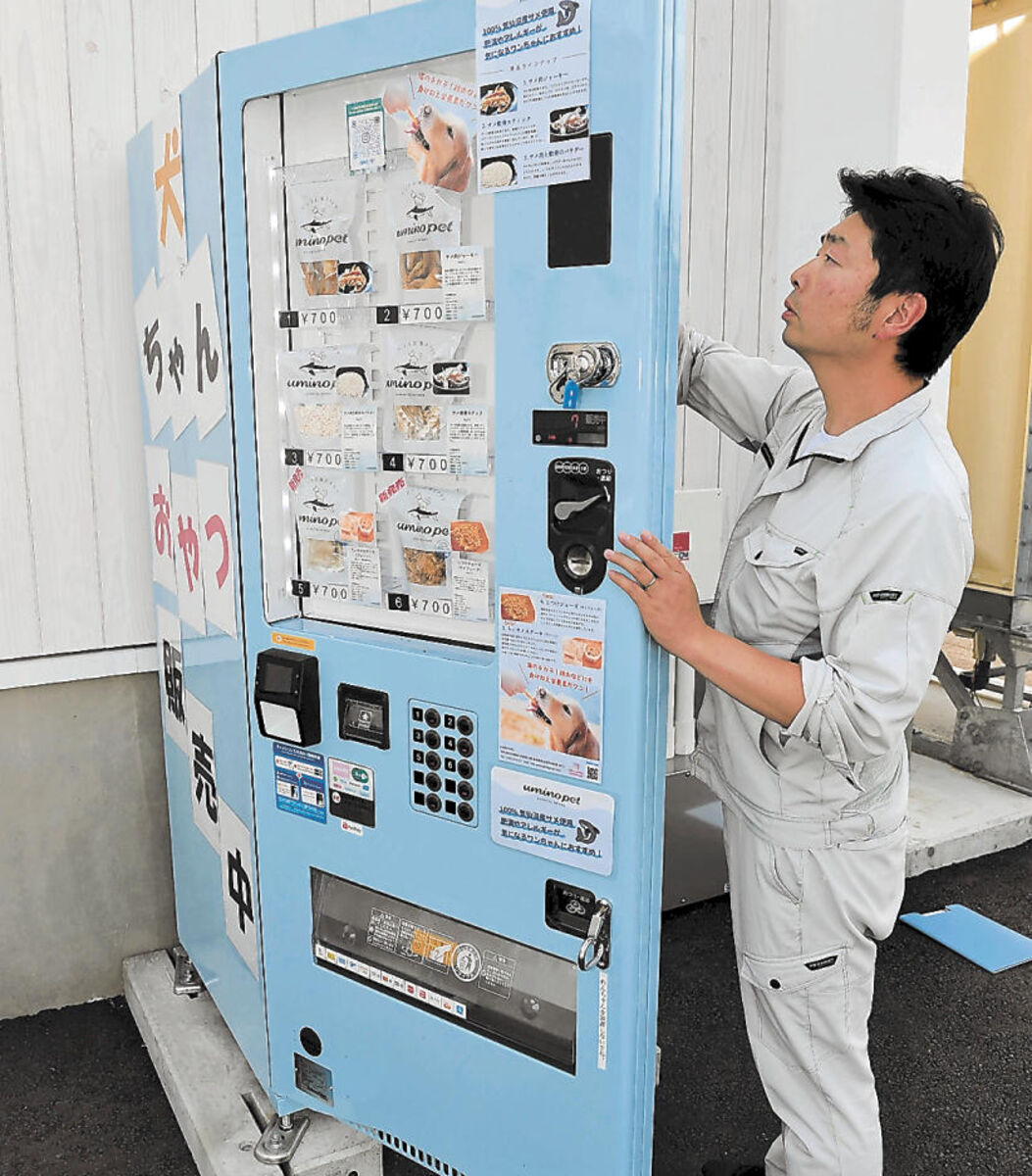 サメ肉原料のペットフードが人気 良質なタンパク、栄養豊富 宮城