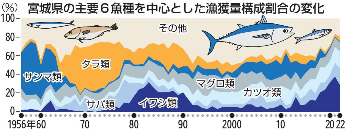 宮城・2010～22年の漁獲量　サンマは激減、マイワシは大幅増　飼料・魚油向け6割に急伸