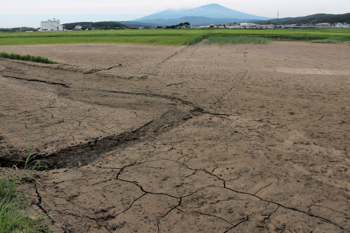 水田5割が浸水　出来秋見通せず　酒田、遊佐　JA庄内　山形記録的大雨から1カ月