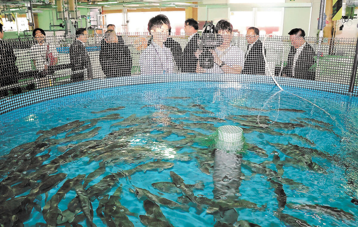 安定した養殖漁業の確立後押し　陸上養殖研究施設が完成　宮城・石巻の県水産技術総合センター