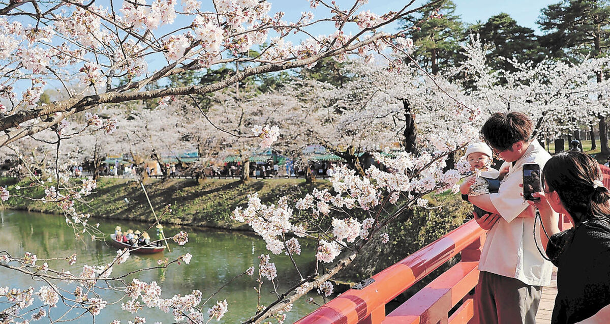 波及効果に業種間で差　弘前さくらまつり商況調査　コロナ禍前比、宿泊業48.4%で売り上げ増　飲食業は「減少」22.4％