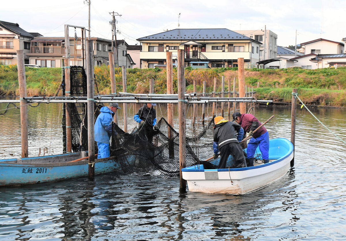 https://kahoku.news/bizlabo/9795/