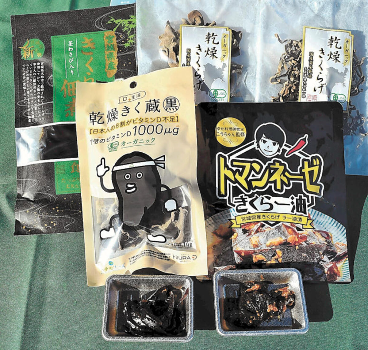 宮城・名取特産のキクラゲ、全国へ届け　加工品のゆうパック発送を開始